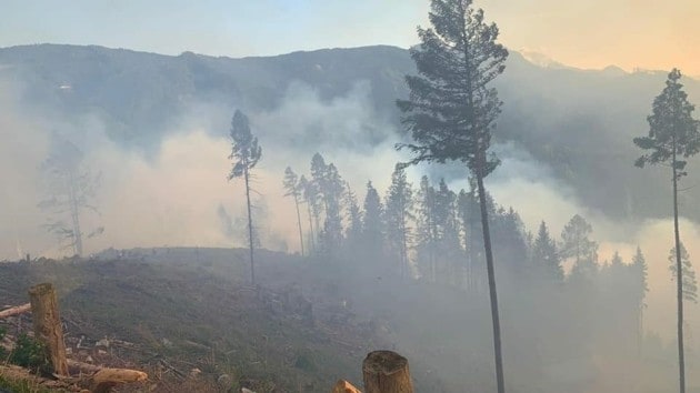 25 Hektar Verbrannt Waldbrand Auch Steirische Feuerwehren Im Einsatz Krone At