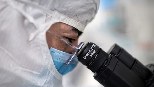 Research into the coronavirus in China (archive image) (Bild: APA/AFP/NICOLAS ASFOURI)