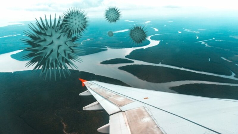 TUI rechnet trotz anhaltender Pandemie mit einem Comeback des Urlaubs im Jahr 2021. (Bild: stock.adobe.com)