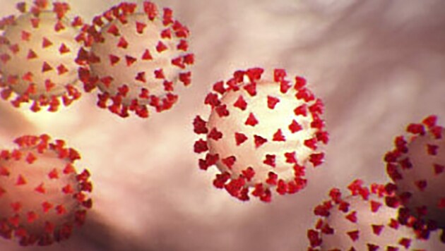 Künstlerische Darstellung eines Coronavirus (Bild: AFP)