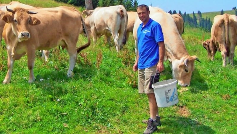 Hannes Willingshofer mit seinen Kühen auf der Sommeralm: „Das ist Selbstschutz!“ (Bild: Sepp Pail)