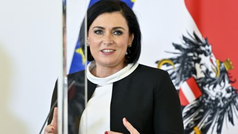 Ministerin Elisabeth Köstinger (ÖVP) (Bild: APA/HERBERT NEUBAUER)