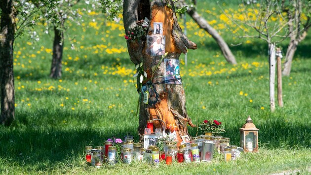 Der Baum, gegen den am 19. April das Auto mit den drei jungen Menschen geschleudert wurde (Bild: FOTOKERSCHI.AT / KERSCHBAUMMAYR)