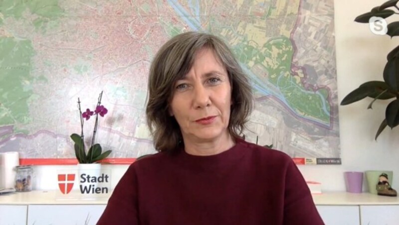 Vizebürgermeisterin Birgit Hebein (Grüne) (Bild: krone.tv)