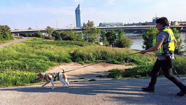 Suchhunde erschnüffelten auf einem Parkplatz in der Nähe der Floridsdorfer Brücke den Geruch des Mädchens. (Bild: www.suchhund.eu)
