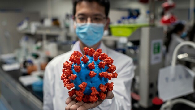 Ein plastisches Modell des neuartigen Coronavirus in einem Labor in China (Bild: AFP)