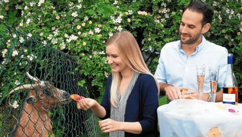 Ziege Mecki rockte das „Krone“-Fotoshooting. Braut Magdalena war begeistert. (Bild: Moser Gabriele)