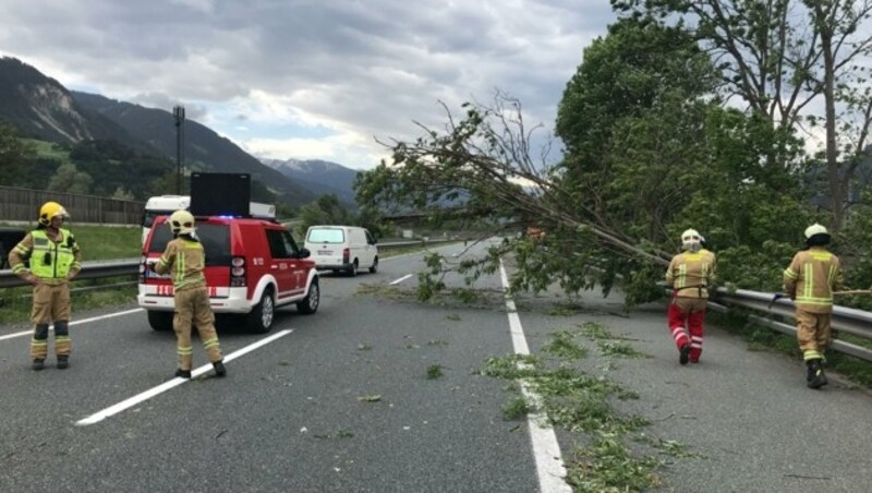 Die Feuerwehr musste zu einem Einsatz auf der Autobahn bei Jenbach ausrücken. Bäume waren umgestürzt. (Bild: ZOOM.TIROL)