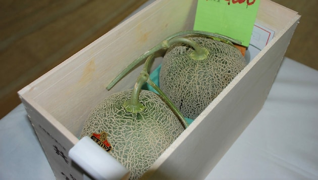 Günstig wie selten zuvor sind derzeit die berühmten Yubari-Melonen in Japan zu haben. Bei einer Auktion erzielten 2 Stück gerade einmal 1000 Euro, ein Schnäppchen im Vergleich zu Preisen, die sonst erzielt werden. (Bild: AFP)