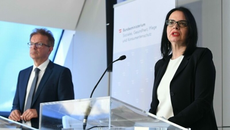 Andrea Mayer und Rudolf Anschober bei der Pressekonferenz. (Bild: APA/HELMUT FOHRINGER)