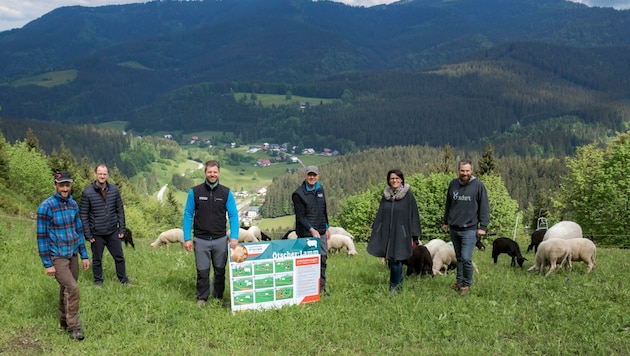 Schafweiden in der Bergregion im Mostviertel – Ötscherlifte-Chef Andreas Buder (3. v. li.) mit weiteren Projekt-Initiatoren (Bild: Rene Jagersberger/Mostmedia)