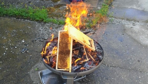 Erst im Vorjahr musste ein Imker seine befallenen Bienenwaben verbrennen. (Bild: zVg)