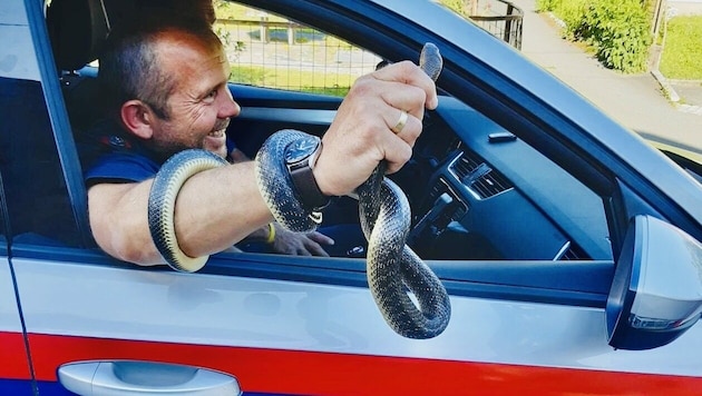 Andreas Kulterer von der Polizei kennt sich mit Schlangen aus. (Bild: Polizei Hermagor)