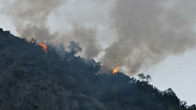 Bäume und Latschen brannten im Außerfern bei Heiterwang. (Bild: ZOOM.TIROL)