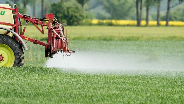 (Bild: dpa-Zentralbild/Patrick Pleul)