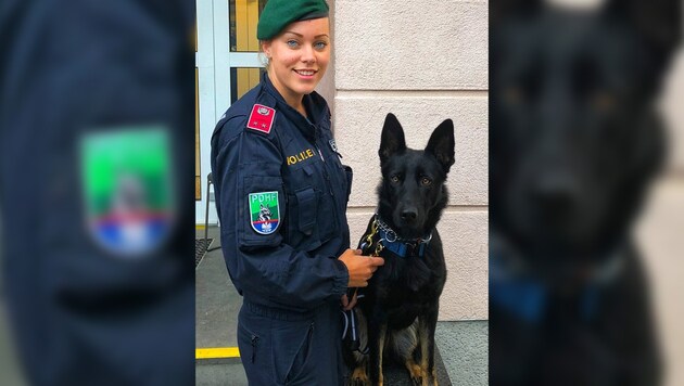 Polizeispürhund „Domina“ nahm rasch die Fährte auf. (Bild: LPD Wien, krone.at-Grafik)