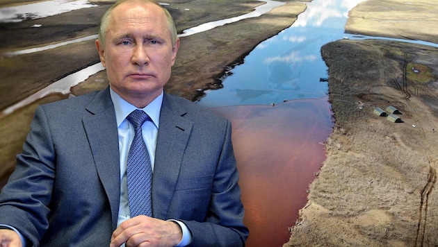 Russlands Präsident Wladimir Putin forderte einen der reichsten Männer des Landes dazu auf, für den Milliiarden-Schaden aufzukommen. (Bild: AFP, Greenpeace, krone.at-Grafik)