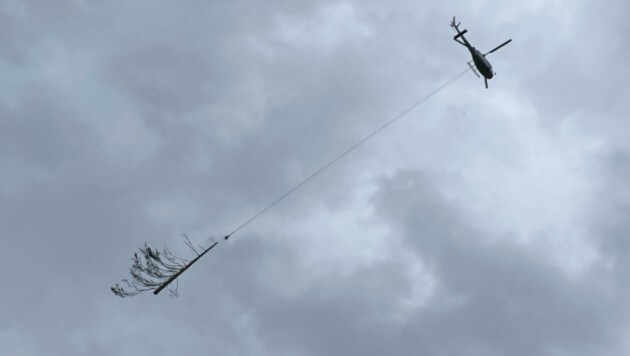 Mittels Hubschrauber wurden unzählige Baumstämme aus der Teuchl herausgeflogen. (Bild: Elisa Aschbacher)
