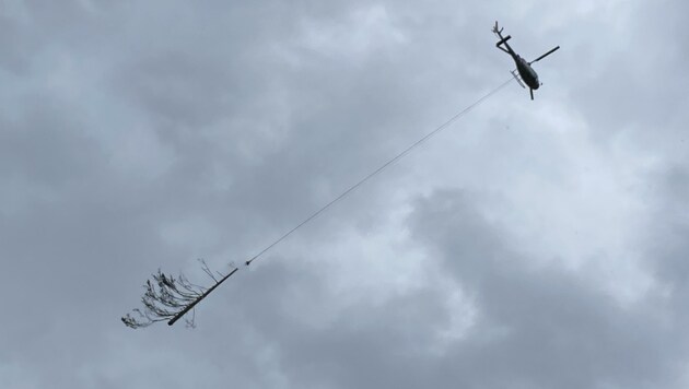Mittels Hubschrauber wurden unzählige Baumstämme aus der Teuchl herausgeflogen. (Bild: Elisa Aschbacher)