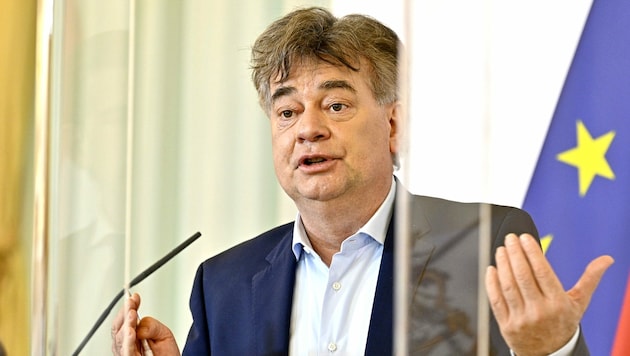 Vizekanzler Werner Kogler (Grüne) (Bild: APA/Hans Punz)