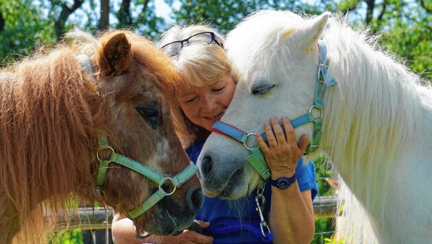 Felicitas Grübl: „Habe Angst, meine Pferde zu verlieren.“ (Bild: Felicitas Grübl)