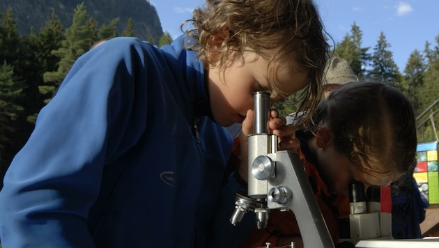 Kinder können die Natur mit dem Mikroskop erforschen (Bild: NP Ötztal)