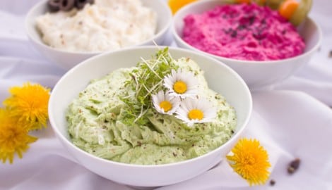 Essbare Blüten, etwa Löwenzahn, verleihen dem hellgrünen Aufstrich eine besonders appetitliche ...