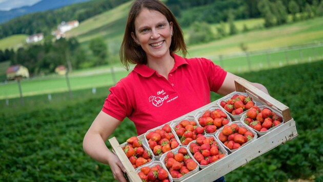 Wir Steirer lieben Erdbeeren! (Bild: Alexander Danner)
