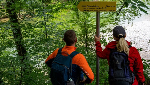 Wanderer aufgepasst - sogar im Gebirge lauern jetzt Zecken! (Bild: Kerschbaummayr Werner)