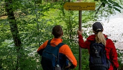 Wanderer aufgepasst - sogar im Gebirge lauern jetzt Zecken! (Bild: Kerschbaummayr Werner)