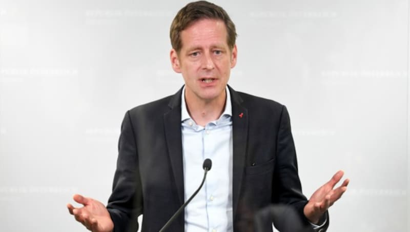 SPÖ-Fraktionsführer Jan Krainer (Bild: APA/Roland Schlager)