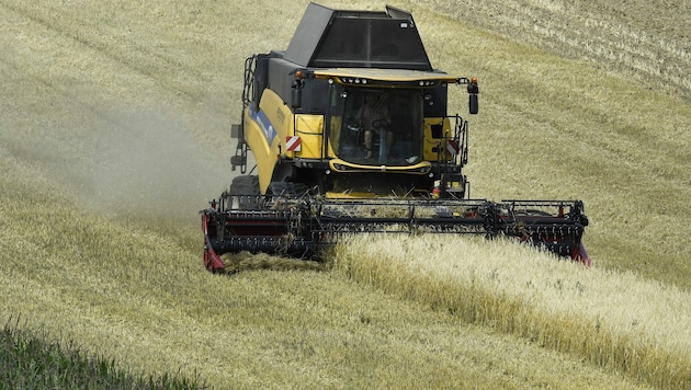 Österreichs Landwirte sind mit der heurigen Getreideernte zufrieden. (Bild: APA/Robert Jäger)