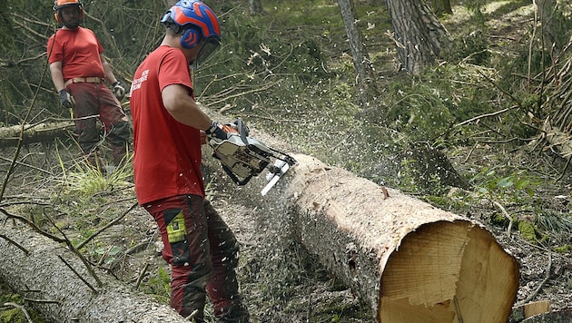 Der Ukraine-Krieg stoppte den Boom in der Bauwirtschaft und damit die Nachfrage nach Schnittholz. Damit wurden auch das Angebot an Holzspäne weniger. (Bild: APA/HERBERT PFARRHOFER)