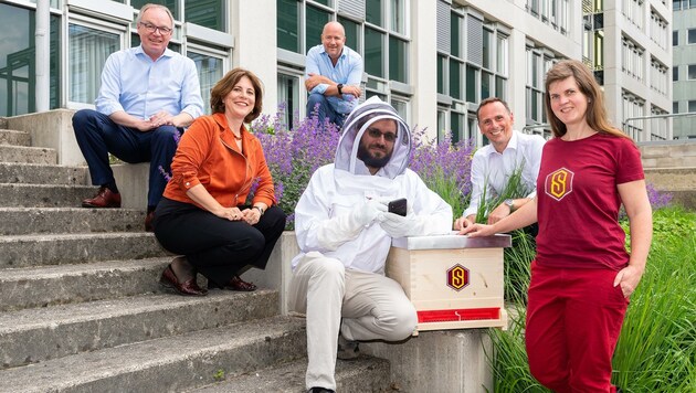 „SuperBee Keeper“ soll Vitalität der Honigbienen steigern (Bild: NLK Burchhart)