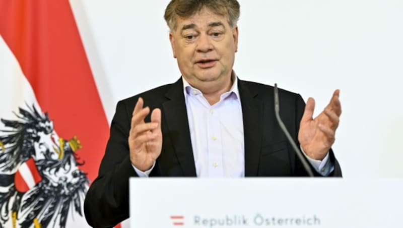 Vizekanzler Werner Kogler (Bild: APA/HERBERT NEUBAUER)