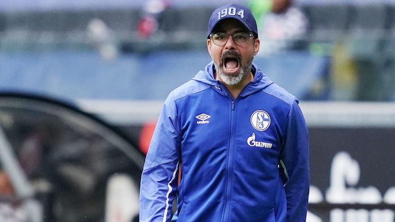 David Wagner (Bild: GEPA)