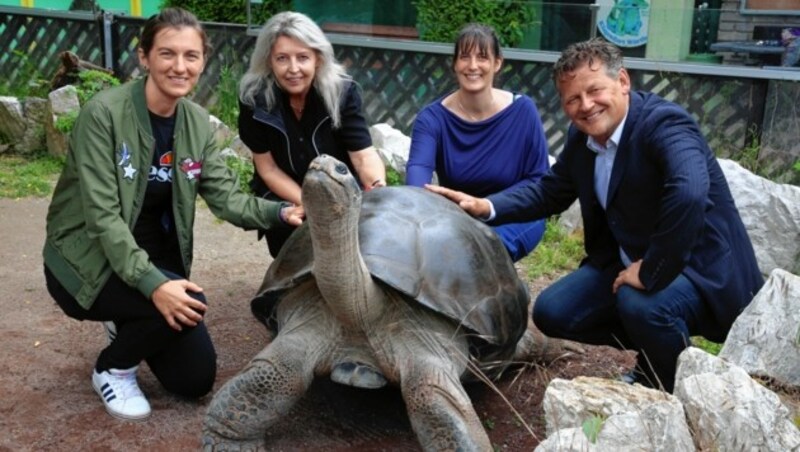 Stadtrat Christian Scheider ist nun Pate von Poldi, der Riesenschildkröte. (Bild: Evelyn HronekKamerawerk)