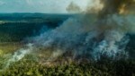 In Brasilien wurden Ländereien im Amazonas-Regenwald auf Facebook verscherbelt. Das soziale Netzwerk will nun verstärkt gegen solche Aktivitäten vorgehen. (Bild: Fábio Nascimento/Greenpeace)