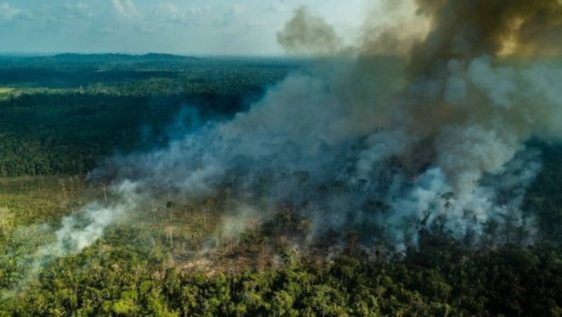 (Bild: Fábio Nascimento/Greenpeace)