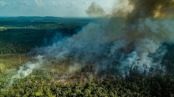 In Brasilien wurden Ländereien im Amazonas-Regenwald auf Facebook verscherbelt. Das soziale Netzwerk will nun verstärkt gegen solche Aktivitäten vorgehen. (Bild: Fábio Nascimento/Greenpeace)