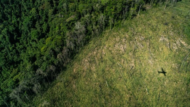 (Bild: Fábio Nascimento/Greenpeace)