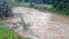 Viele Gewässer führen derzeit immer noch Hochwasser (Bild: Herbert Buchgraber)