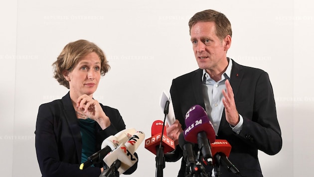 NEOS-Fraktionsführerin Stefanie Krisper und SPÖ-Kollege Jan Krainer (Bild: APA/HELMUT FOHRINGER)