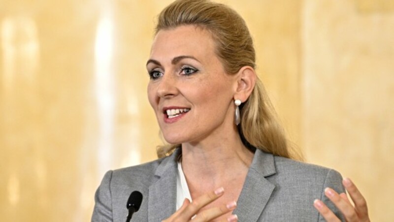 Ex-Arbeitsministerin Christine Aschbacher (ÖVP) (Bild: APA/Hans Punz)