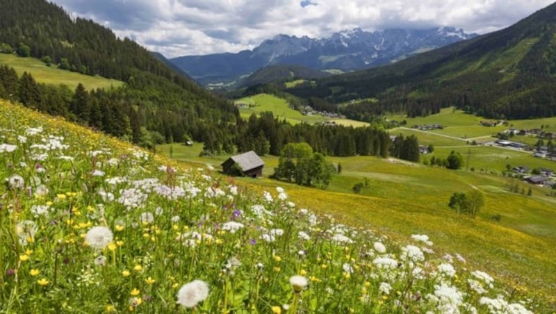 Oberhalb von St. Martin am Tennengebirge lässt es sich besonders schön wandern. (Bild: Uwe Grinzinger)