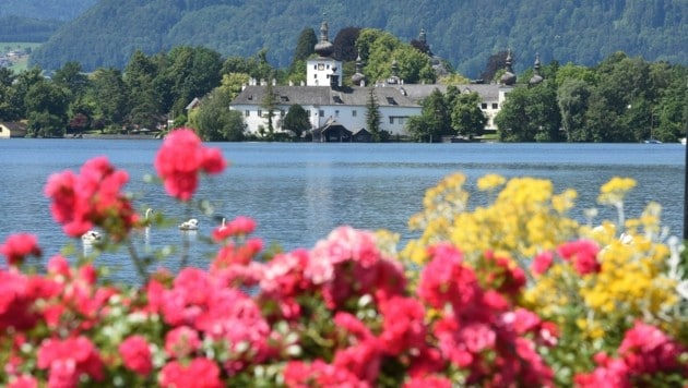 Herrlicher Blick über den ruhigen Traunsee zum Schloss Orth (Bild: Spitzbart Wolfgang)