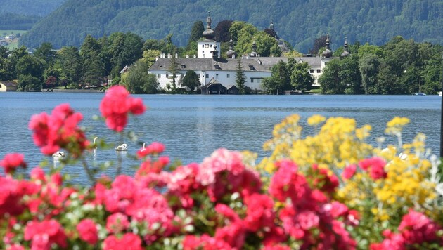 Herrlicher Blick über den ruhigen Traunsee zum Schloss Orth (Bild: Spitzbart Wolfgang)