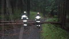 (Bild: FF -Obermühlbach/Schaumboden)