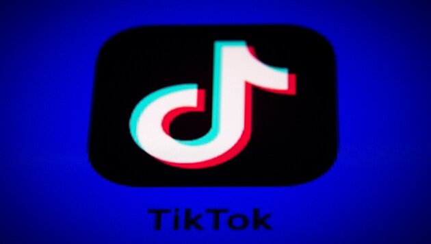 TikTok diene dazu, wie ein trojanisches Pferd persönliche Informationen von Amerikanern zu überwachen und auszunutzen, glaubt man in den USA. (Bild: APA/AFP/Lionel BONAVENTURE)