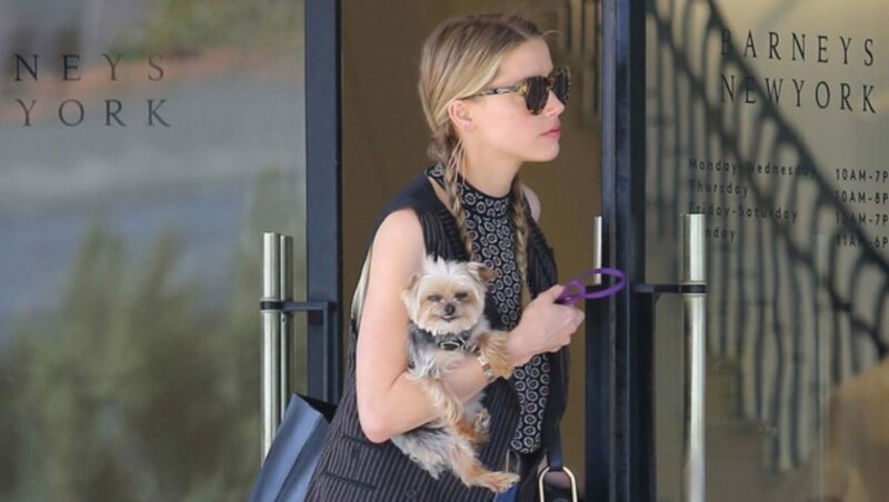 Amber Heard beim Shopping mit Hündchen „Pistol“ (Bild: www.PPS.at)